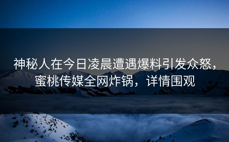 神秘人在今日凌晨遭遇爆料引发众怒，蜜桃传媒全网炸锅，详情围观