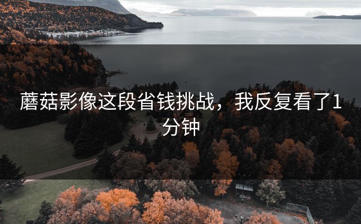 蘑菇影像这段省钱挑战，我反复看了1分钟